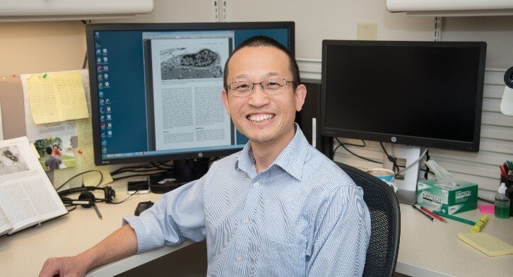 Qi Zhang – Research Grant – 2018 Featured Image