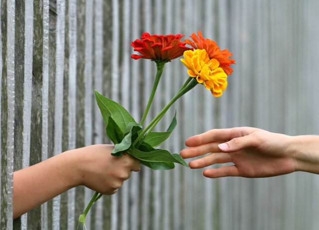 Volunteer