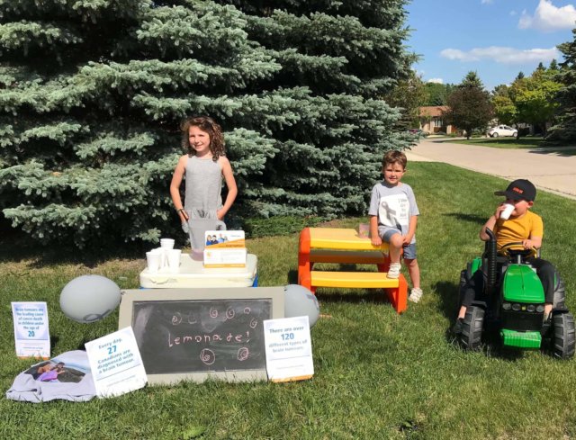 Lemonade Sales