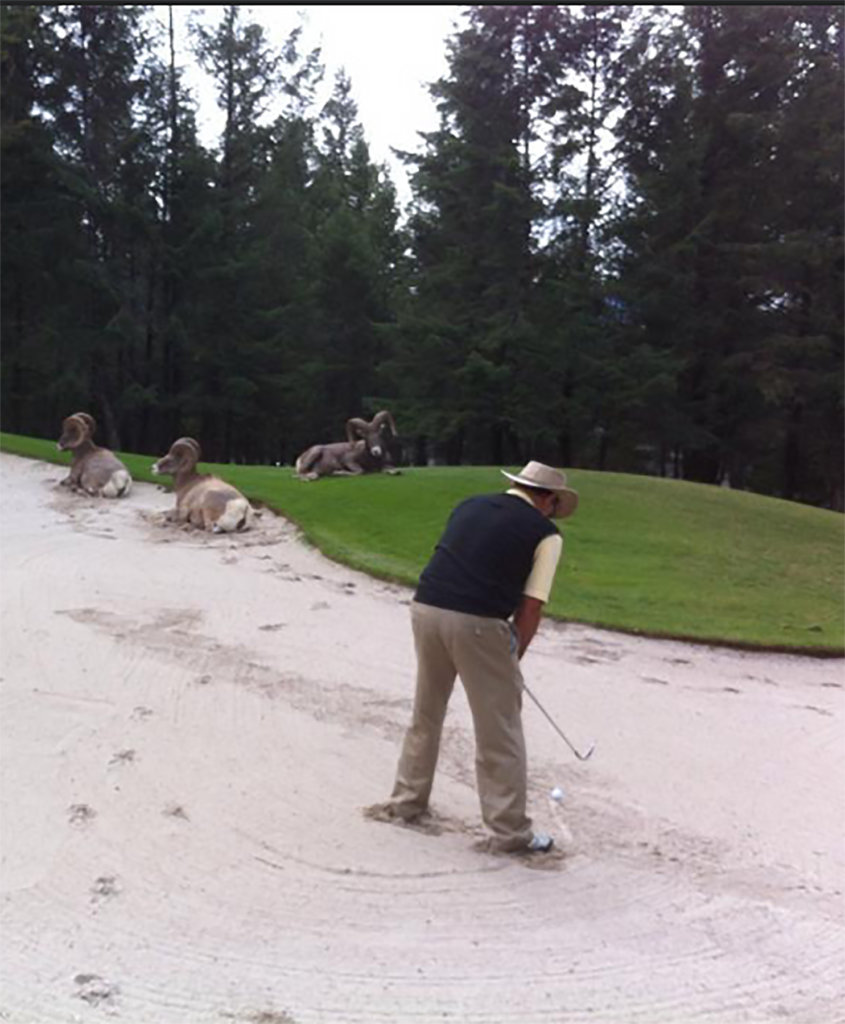 Mark in the bunker