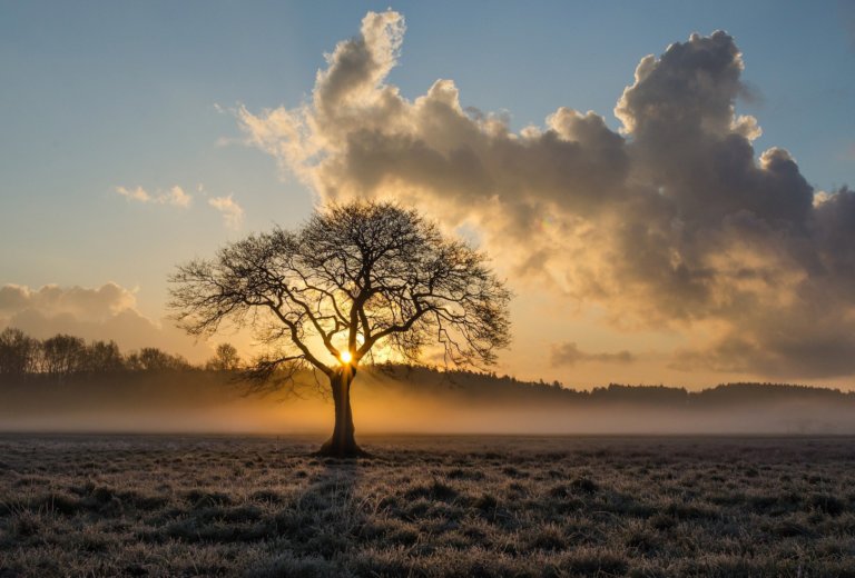 Brain Tumour Foundation of Canada’s Guide to Grief Featured Image